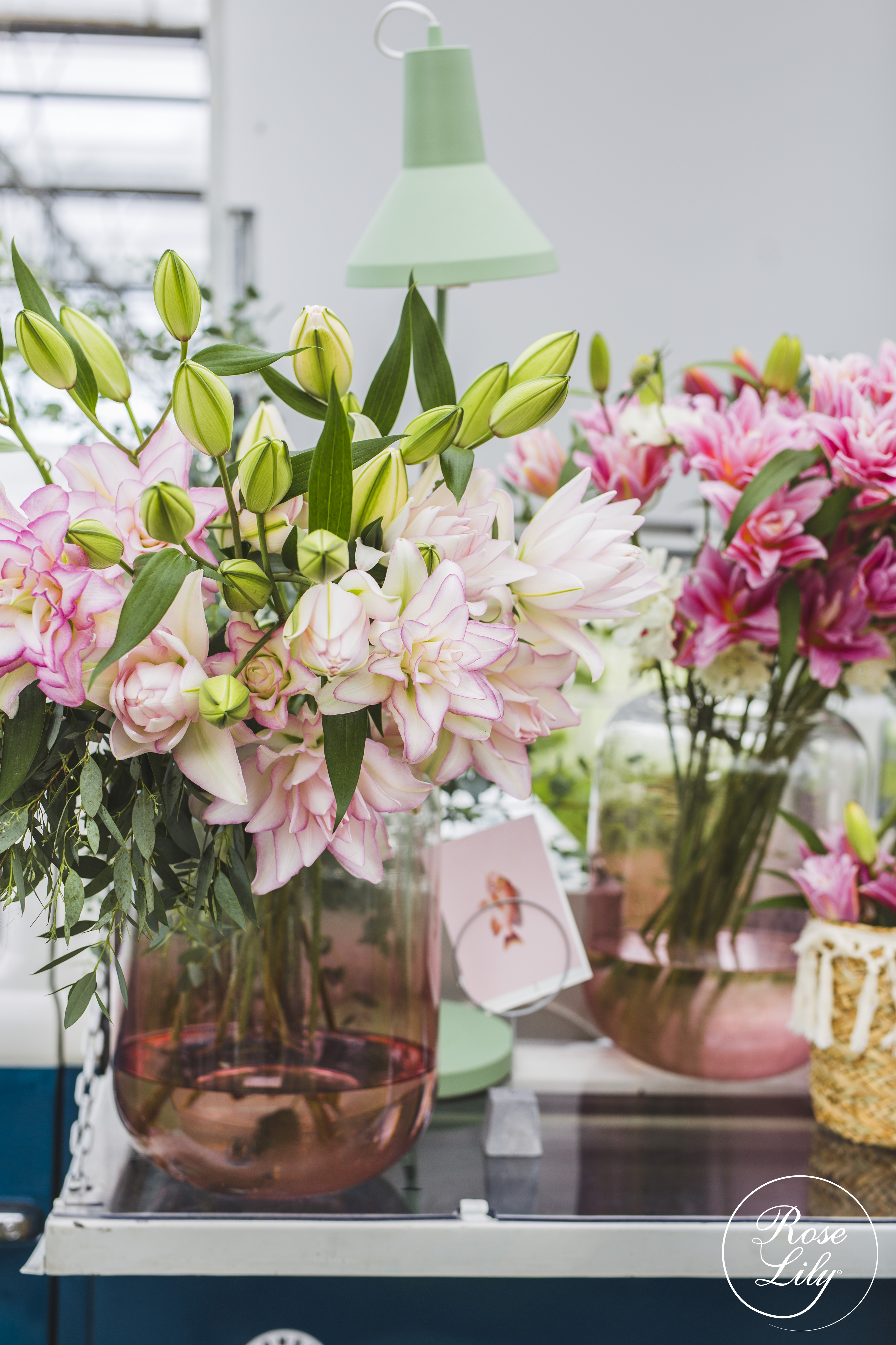 15 Different Kinds of Lilies are Waiting for You, Ready to Send to All Florists.
